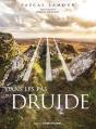 Dans Les Pas Du Druide - Preview