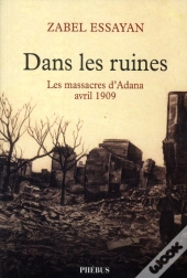 Dans Les Ruines