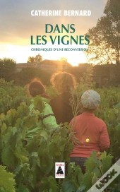Dans Les Vignes ; Chroniques D'Une Reconversion