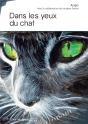 Dans Les Yeux Du Chat - Preview