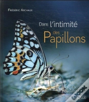 Capa do artigo Dans L