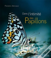 Capa do artigo Dans L