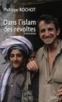 Dans L'Islam Des Révoltes - Preview