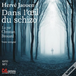 Capa do artigo Dans L'Oeil Du Schizo (Cd Mp3)