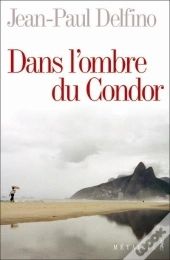 Dans L'Ombre Du Condor
