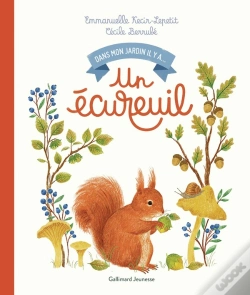 Capa do artigo Dans Mon Jardin Il Y A... : Un Écureuil