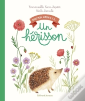 Dans Mon Jardin Il Y A... : Un Hérisson