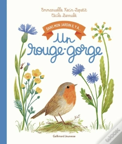 Capa do artigo Dans Mon Jardin Il Y A... : Un Rouge-Gorge