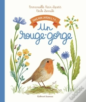 Capa do artigo Dans Mon Jardin Il Y A... : Un Rouge-Gorge