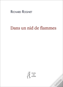 Capa do artigo Dans Un Nid De Flammes