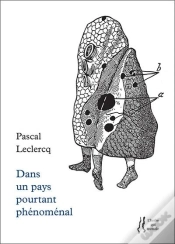 Capa do artigo Dans Un Pays Pourtant Phénomenal