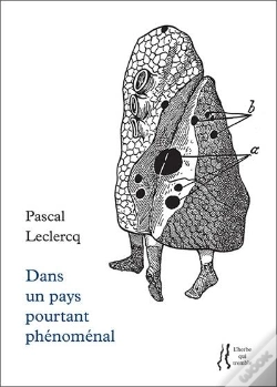 Capa do artigo Dans Un Pays Pourtant Phénomenal