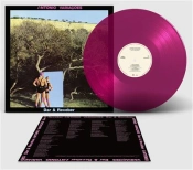 Capa do artigo Dar & Receber - Vinil