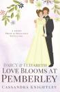 Darcy & Elizabeth - Preview
