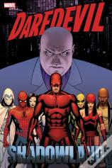 Daredevil: Shadowland Omnibus Cassaday Cover (New Printing)