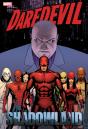 Daredevil: Shadowland Omnibus Cassaday Cover (New Printing) - Preview