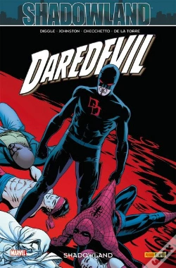 Capa do artigo Daredevil T.22