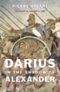 Darius In The Shadow Of Alexander - Preview