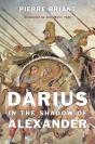 Darius In The Shadow Of Alexander - Preview