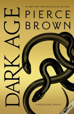Capa do artigo Dark Age