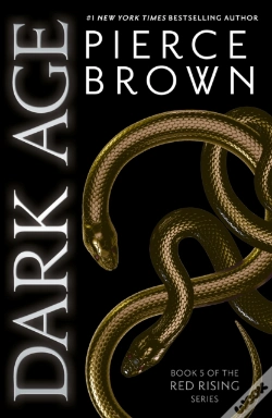 Capa do artigo Dark Age