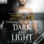 Capa do artigo Dark And Light