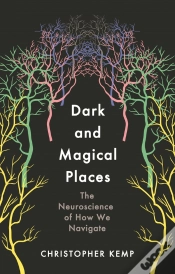 Capa do artigo Dark And Magical Places