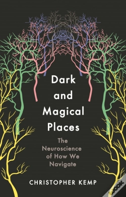 Capa do artigo Dark And Magical Places