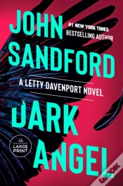 Capa do artigo Dark Angel