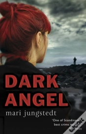 Capa do artigo Dark Angel