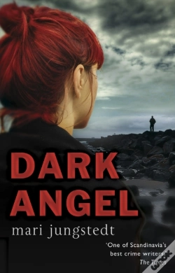 Capa do artigo Dark Angel