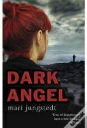 Capa do artigo Dark Angel
