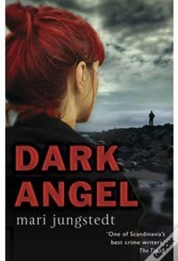 Capa do artigo Dark Angel