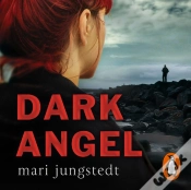 Capa do artigo Dark Angel
