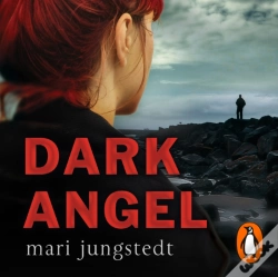 Capa do artigo Dark Angel