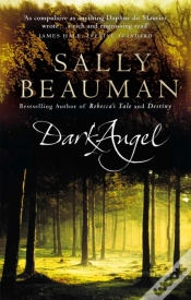 Capa do artigo Dark Angel
