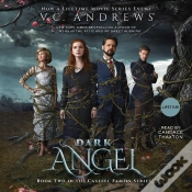 Capa do artigo Dark Angel