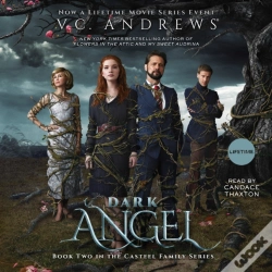 Capa do artigo Dark Angel