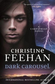 Capa do artigo Dark Carousel