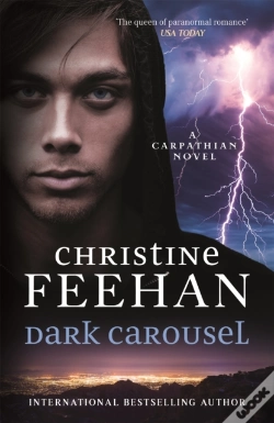 Capa do artigo Dark Carousel