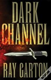 Capa do artigo Dark Channel