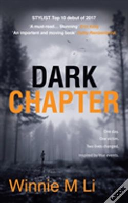Capa do artigo Dark Chapter