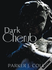 Capa do artigo Dark Cherub