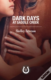 Capa do artigo Dark Days At Saddle Creek