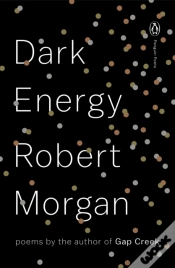 Capa do artigo Dark Energy