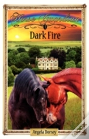 Capa do artigo Dark Fire