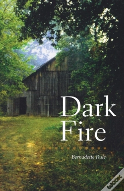Capa do artigo Dark Fire