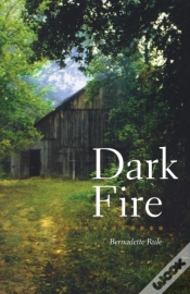 Capa do artigo Dark Fire