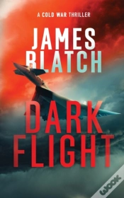 Capa do artigo Dark Flight
