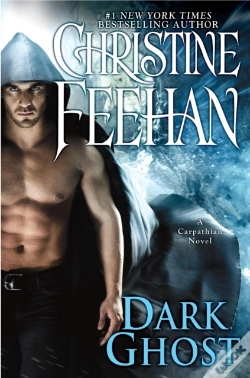 Capa do artigo Dark Ghost